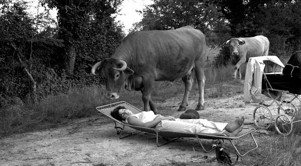 vacances d'été histoire Vincent Peillon