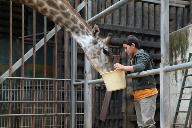 Film Girafada 1jour1actu