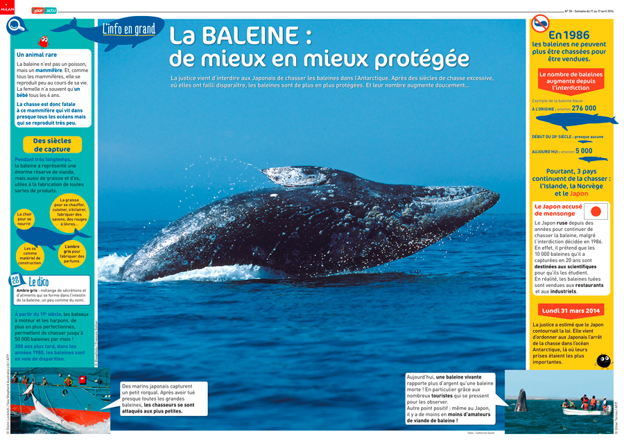 Poster 1jour1actu 30 Baleines