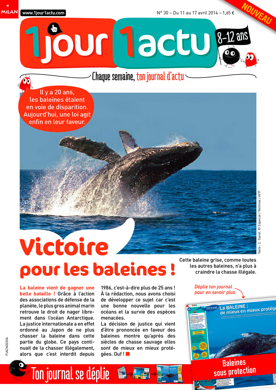 couv 1jour1actu 30 baleines