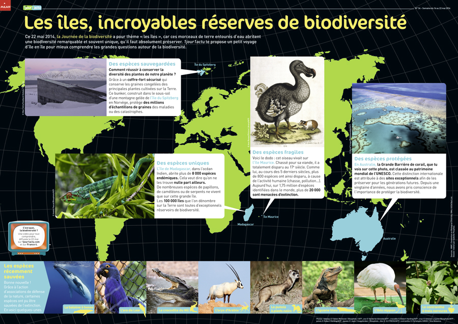 Poster 1jour1actu 34 Biodiversité