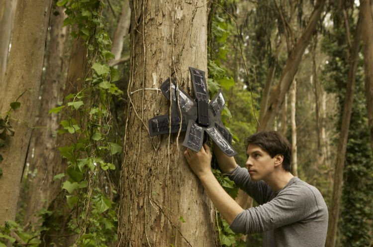 Lutte déforestation