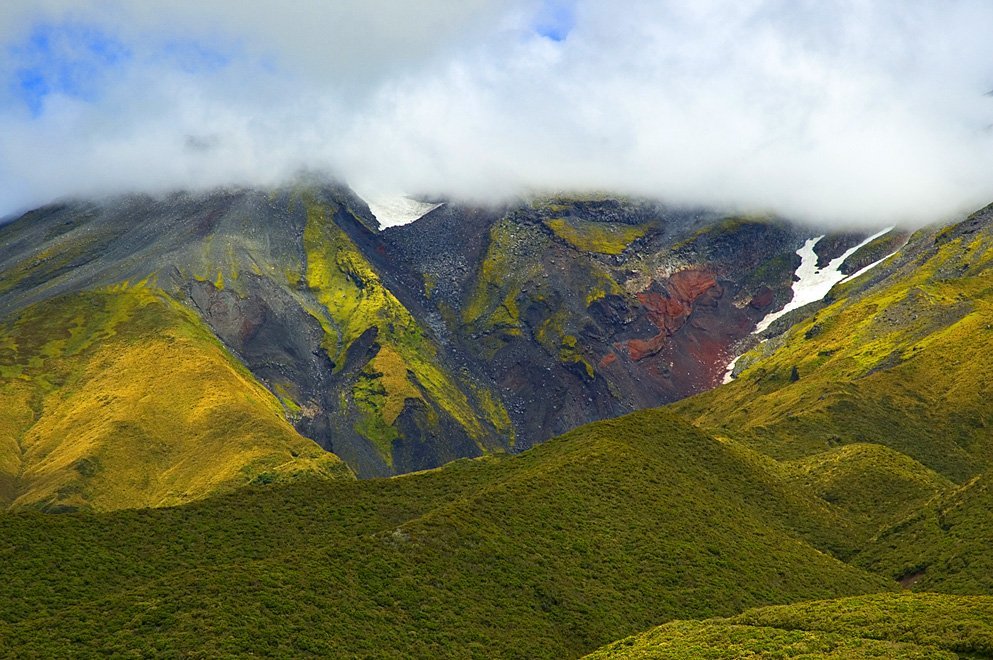 La forêt du mont Taranaki (© James Shook D.R.)