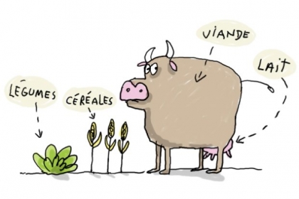 alimentation