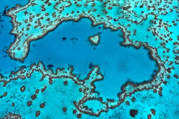 Barrière Corail Australie