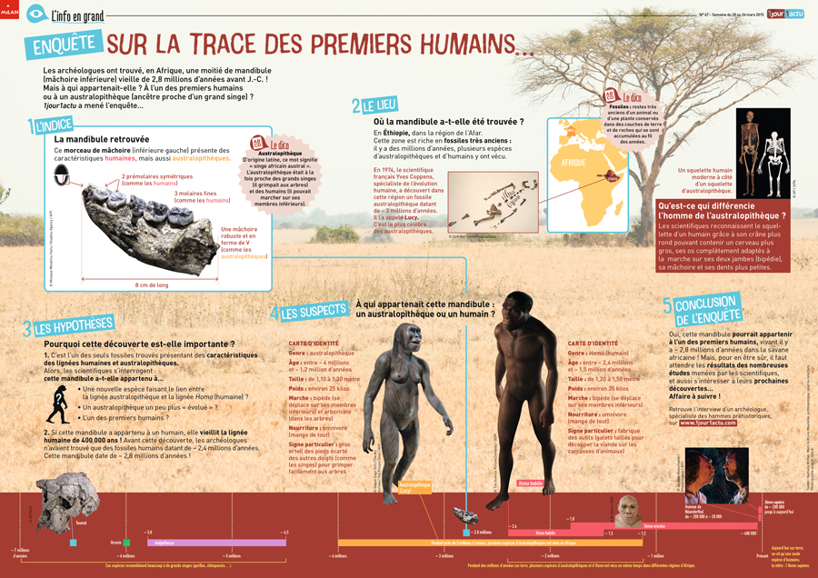 Poster 1jour1actu Evolution Humains