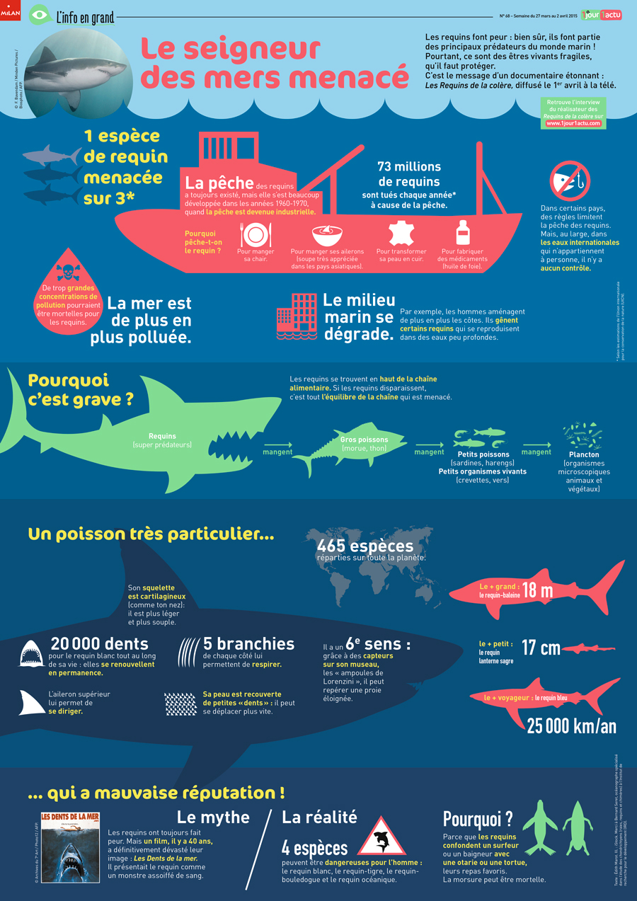 Poster 1jour1actu 68 Requins