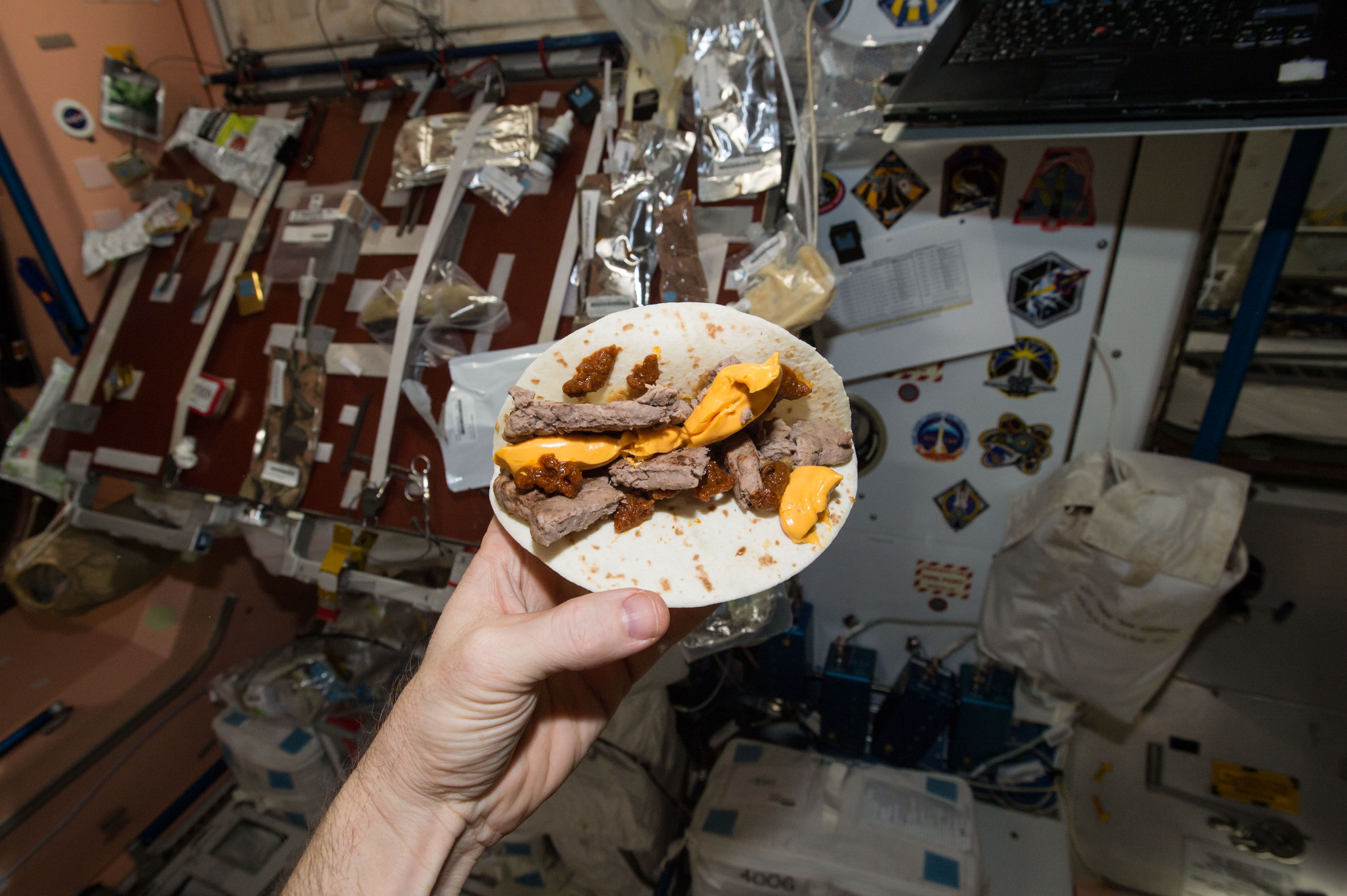 Voici un hamburger de l'espace ! Les astronautes emportent avec eux la nourriture nécessaire pour toute la durée de leur séjour. Les plats sont souvent en conserve ou lyophilisés, c'est-à-dire qu'on a enlevé toute l'eau qui est à l'intérieur. © NASA