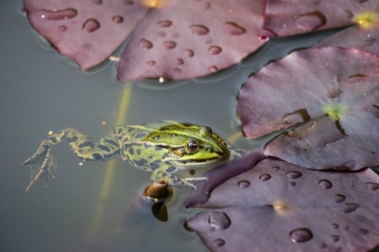 fête de la nature 2015