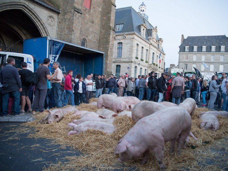 Début juillet, des éleveurs de porcs protestent en Bretagne (Saint-Brieux). © Citizenside/ Emmanuelle Rodrigue