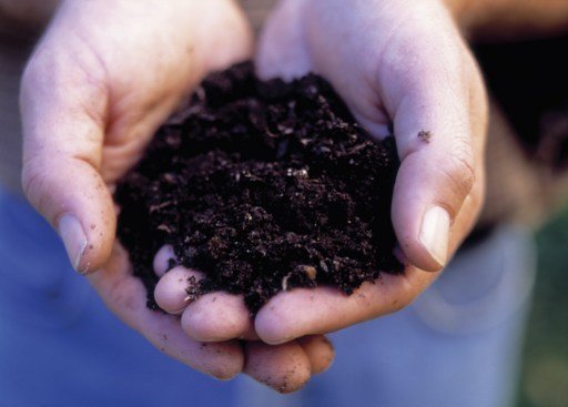 Du compost (AFP / Helen Norman / Mint Images)