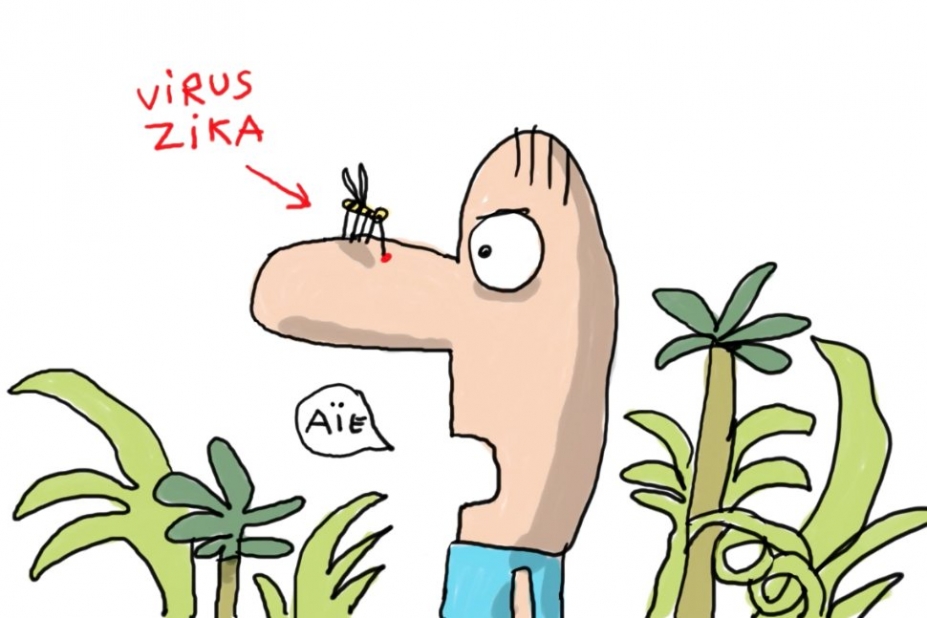 virus zika