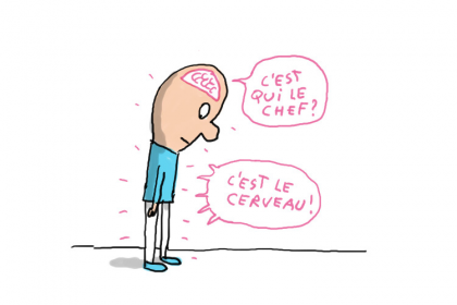 cerveau