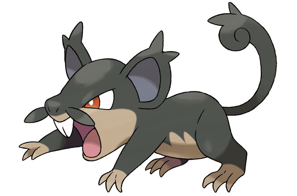 Rattata sous sa forme d'Alola