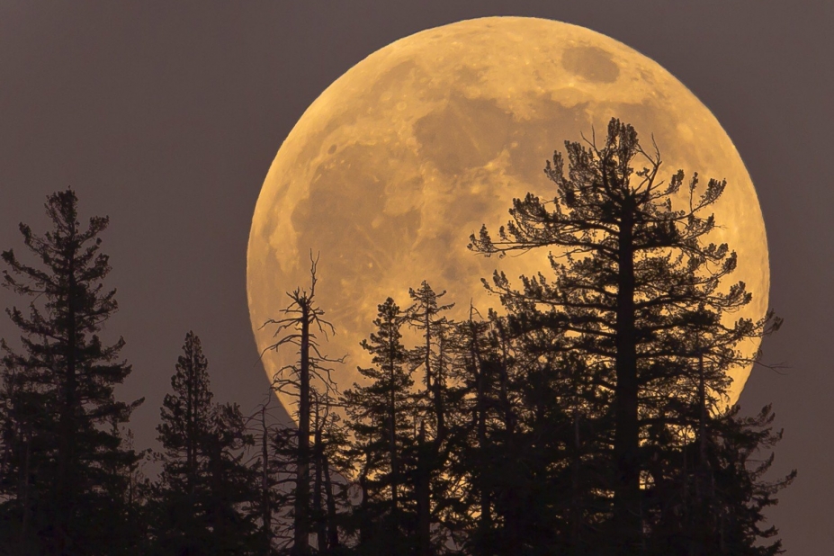 La Lune peut-elle avoir elle aussi une lune ?