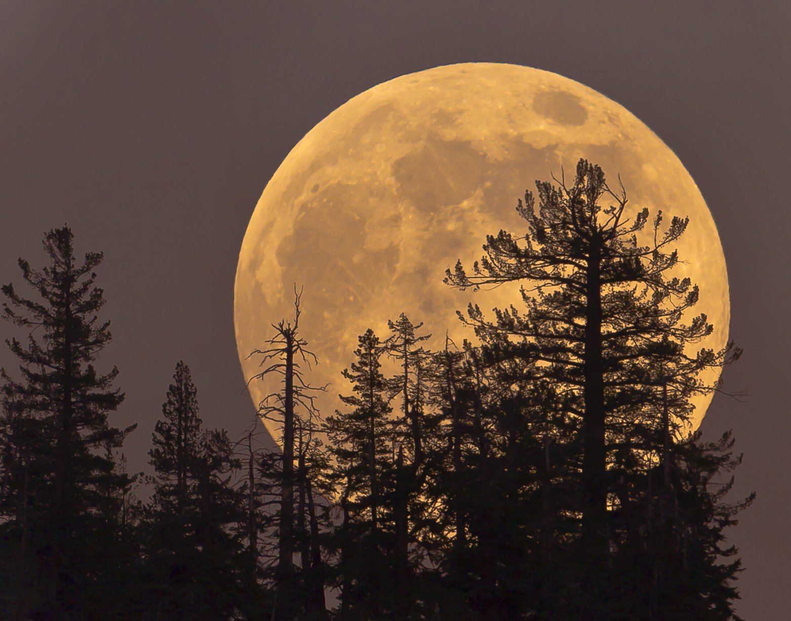 Pourquoi La Lune Est Grosse Et Orange Pourquoi parle-t-on de la « super lune » ? - 1jour1actu.com