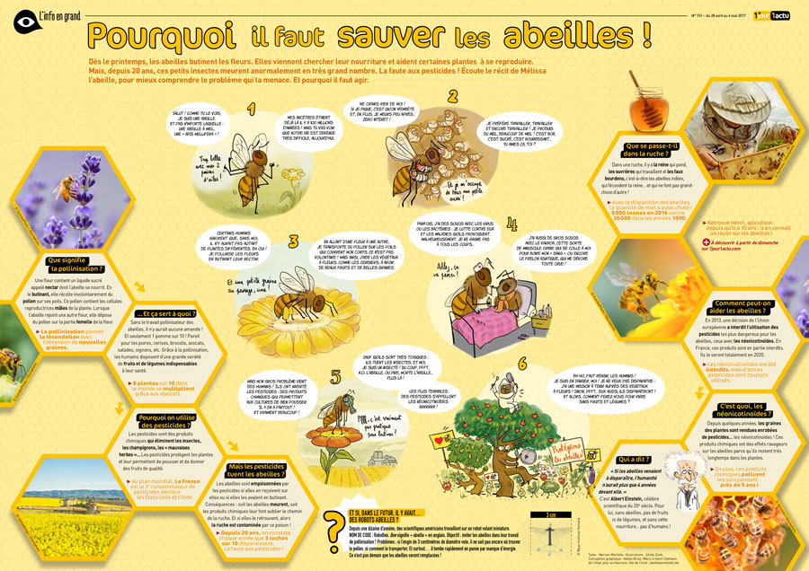 Poster 1jour1actu 151 Abeilles ruche
