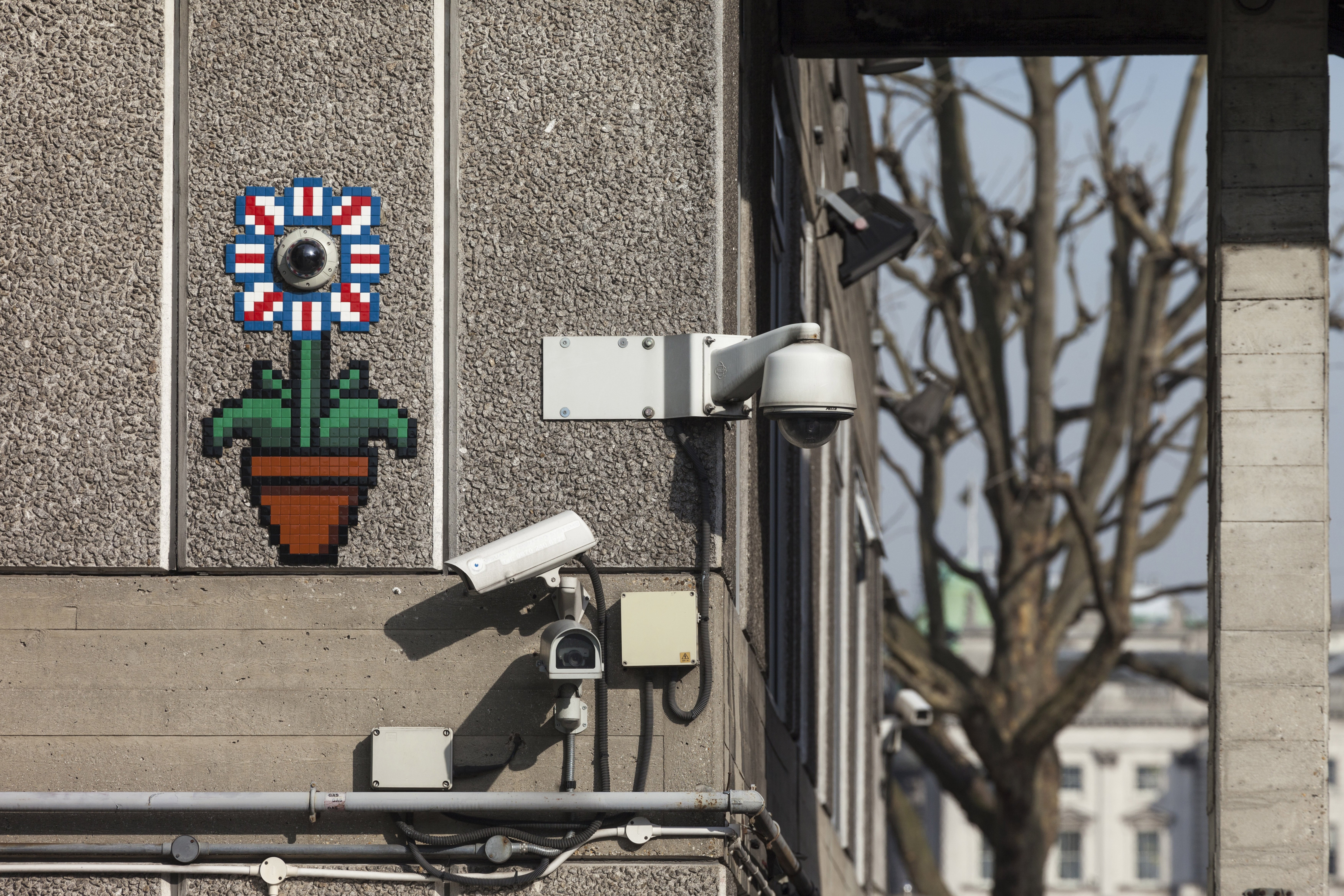 Un croisement entre plante et caméra de vidéo-surveillance, à Londres (2016). © Invader