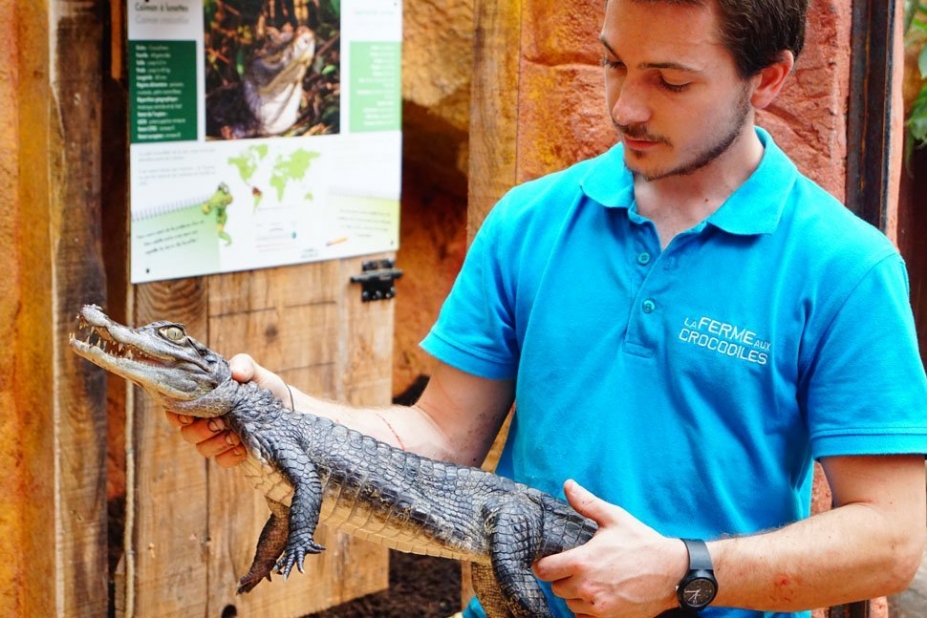 Ferme aux crocodiles