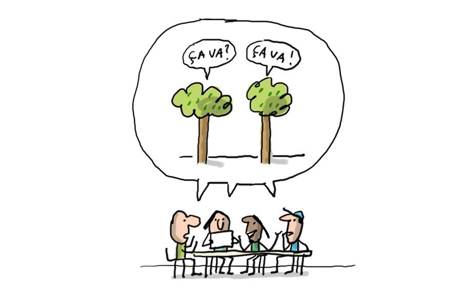arbres
