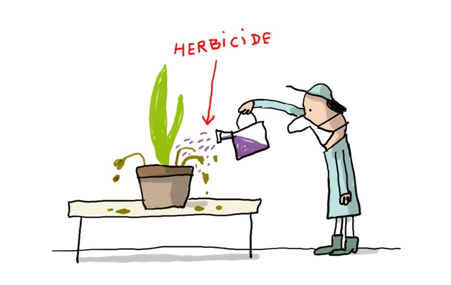 herbicide