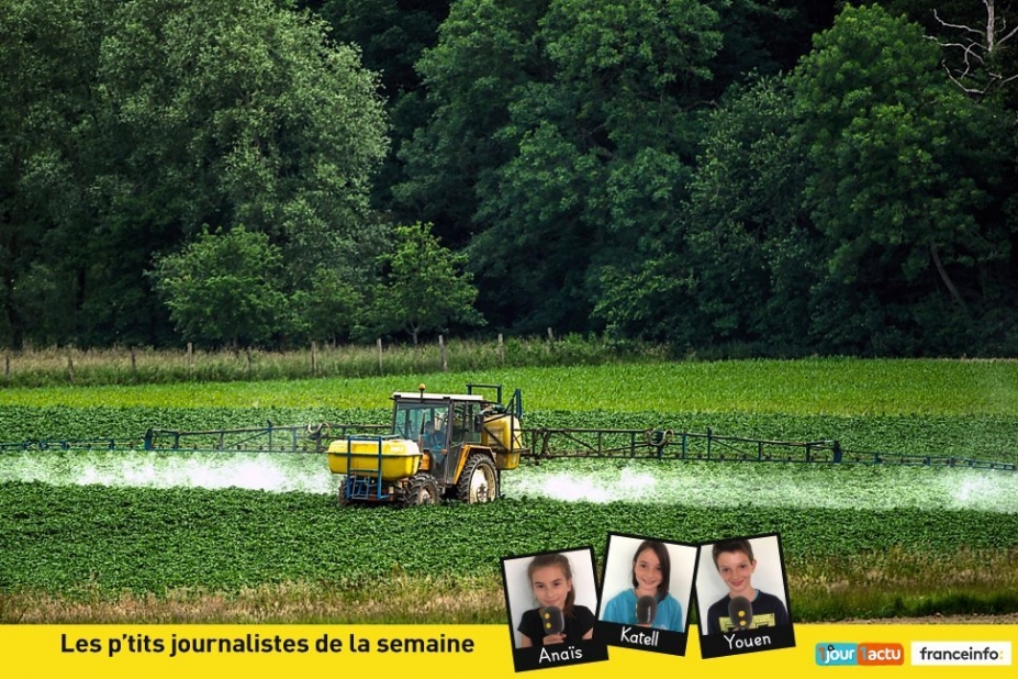 Glyphosate