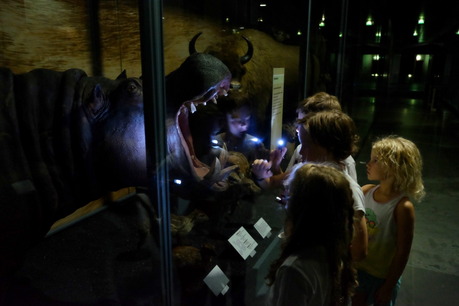 Nuit au musée