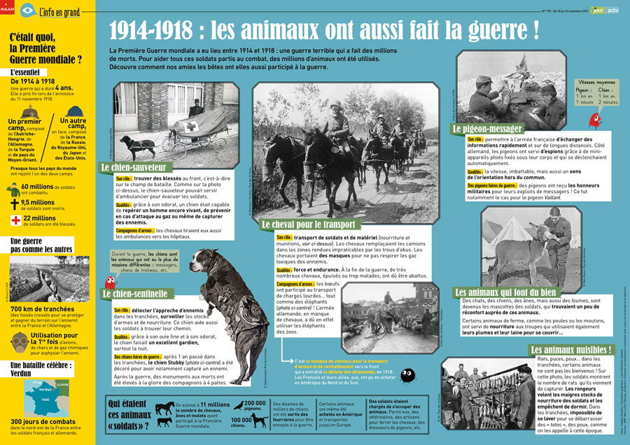 Poster 1jour1actu 170 Animaux Guerre