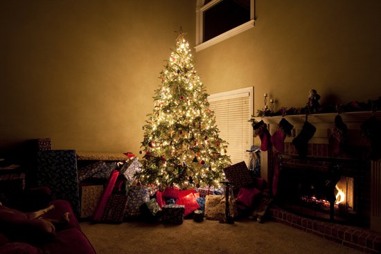 Pourquoi un sapin trône-t-il au milieu du salon à Noël ?