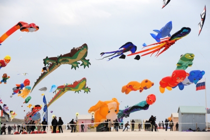 Rencontres Internationales de Cerfs-Volants