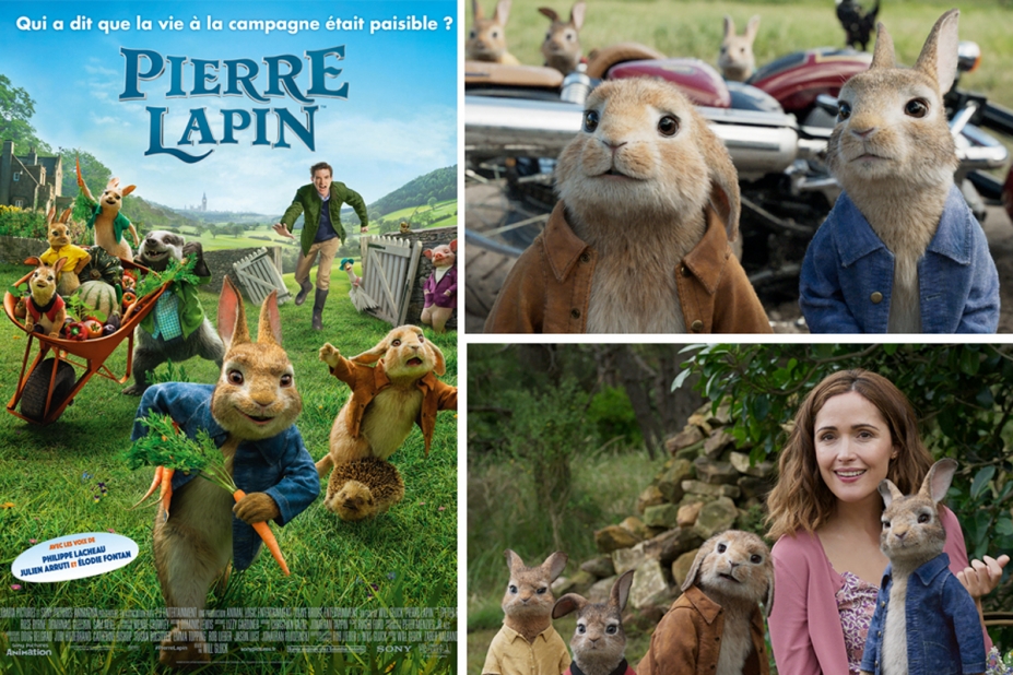 Pierre Lapin