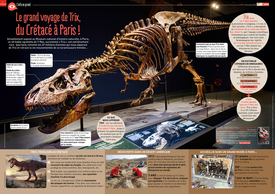 Poster 1jour1actu 199 T Rex