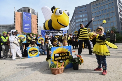 loi biodiversité abeilles