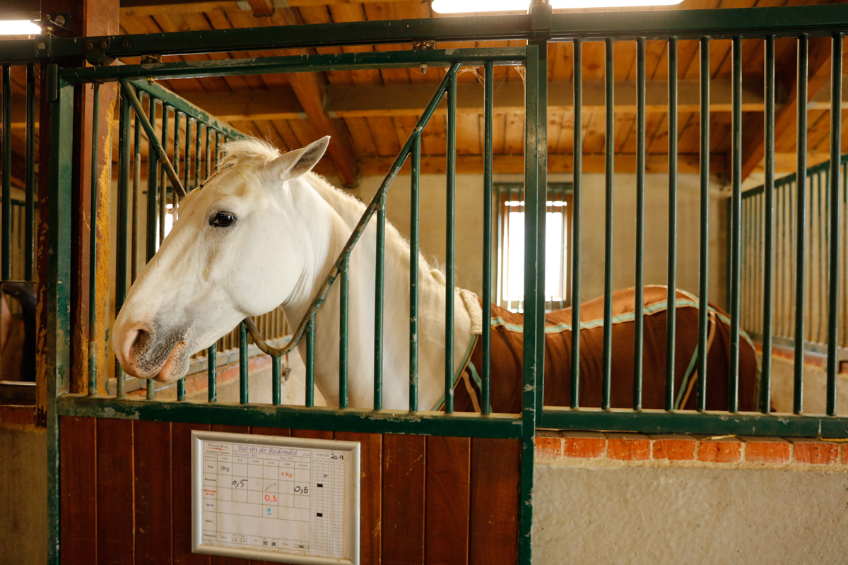 Puy-du-Fou