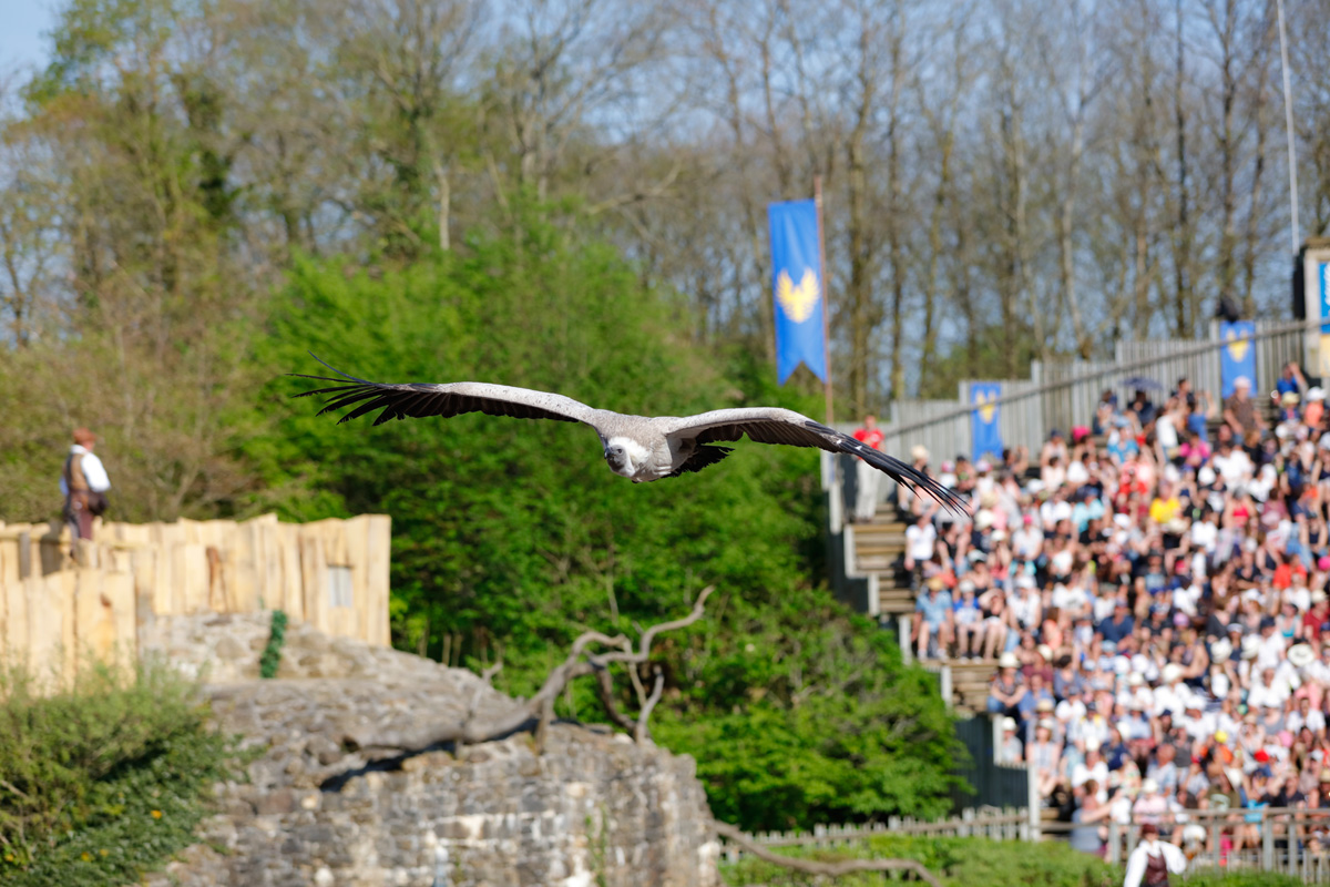 Puy-du-Fou