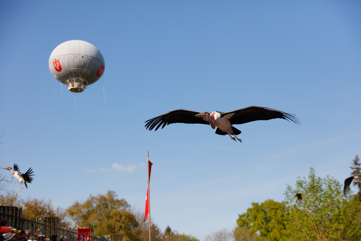 Puy-du-Fou