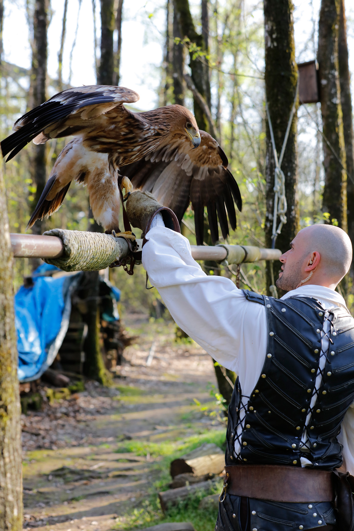 Puy-du-Fou