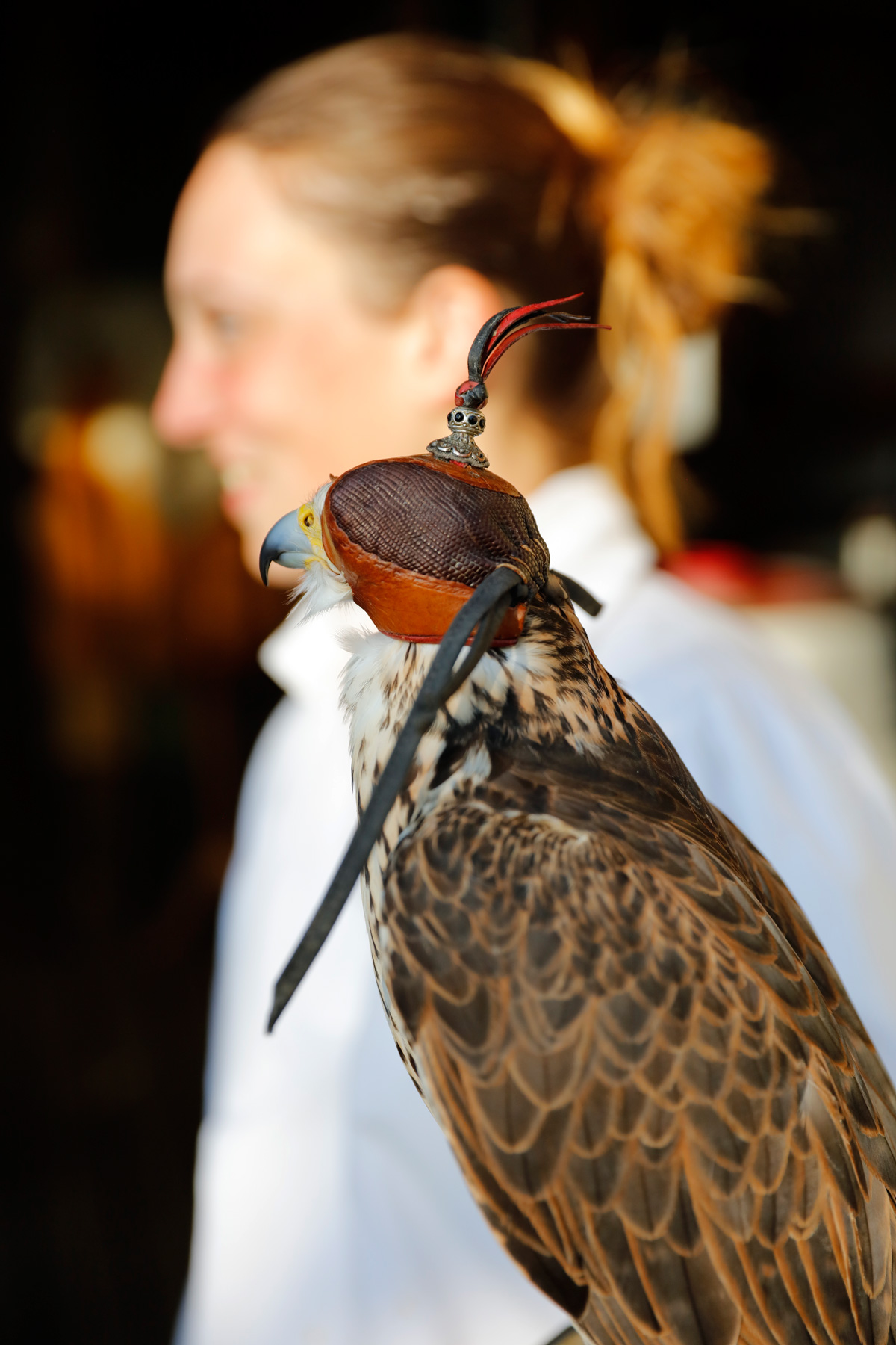 Puy-du-Fou