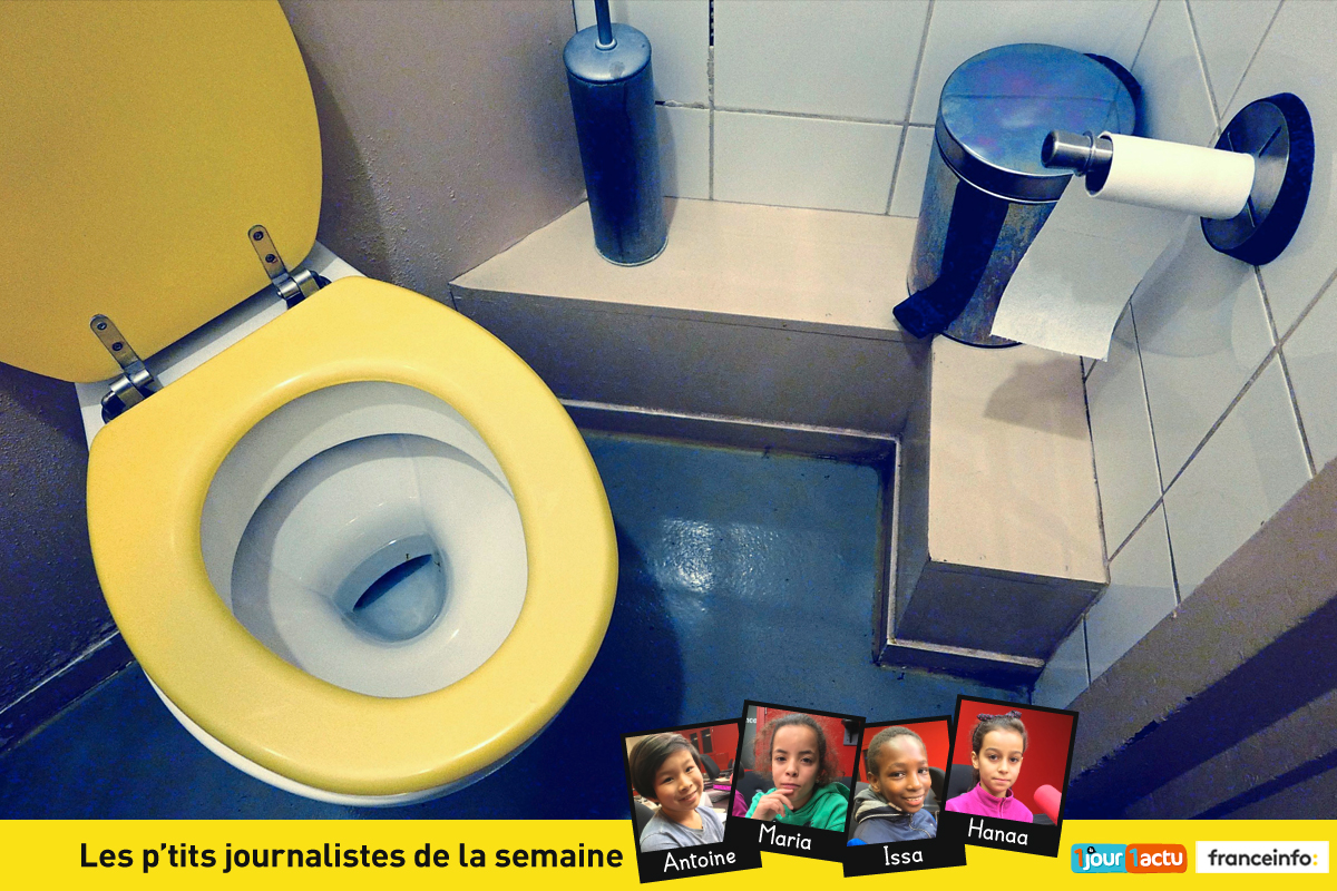 Niyel lance Poop Trivia un jeu plein de caca pour la Journée Mondiale des  Toilettes – LA PREMIERE AGENCE DE PRESSE PRIVEE AU TOGO
