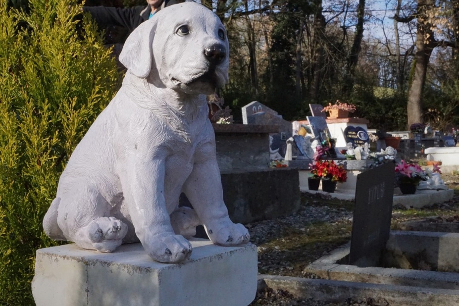 cimetière animaux