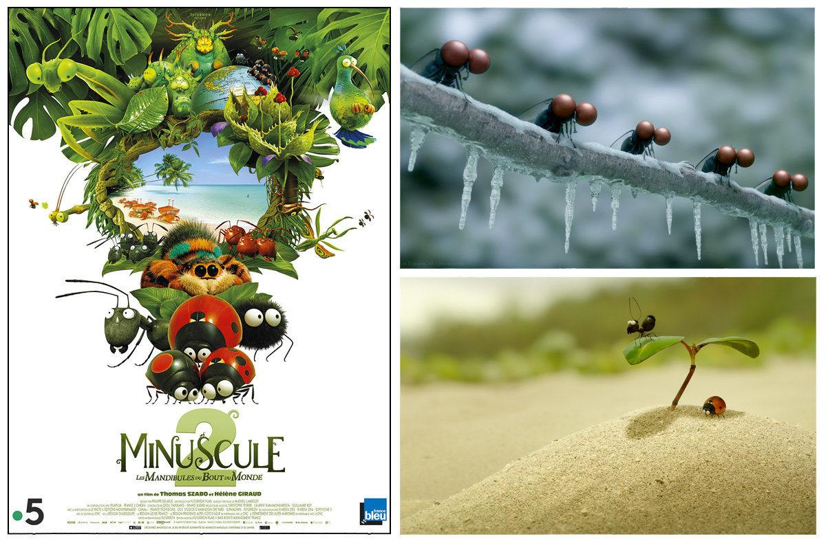 Les Choix Cine D 1jour1actu Minuscules 2 Les Mandibules Du Bout Du Monde
