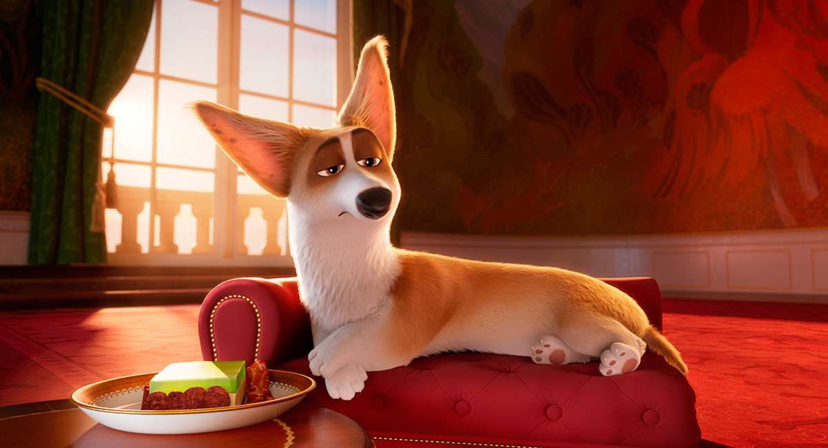 royal corgi Axel roi