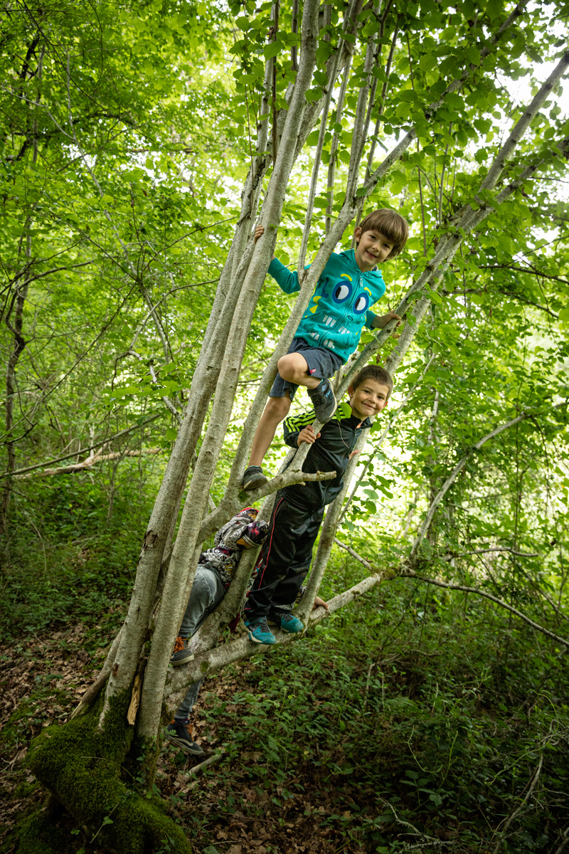 cabanes bois village des enfants sauvages