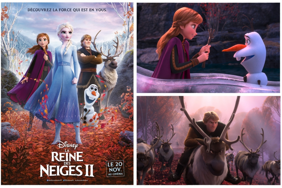 Frozen - La reine des neige - LA REINE DES NEIGES - L'Histoire de