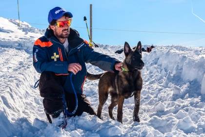 chien avalanche neige