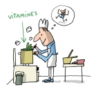 légumes