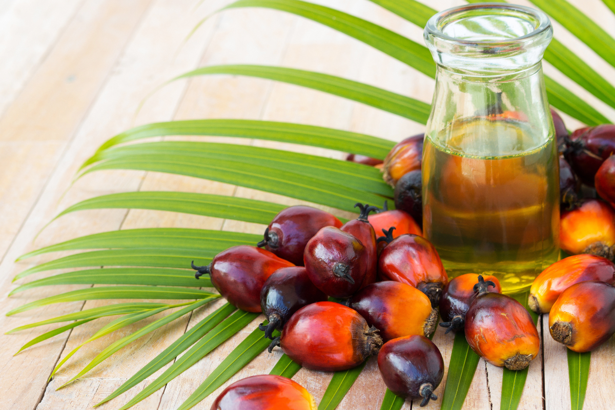 À quoi ça sert, l'huile de palme ? 