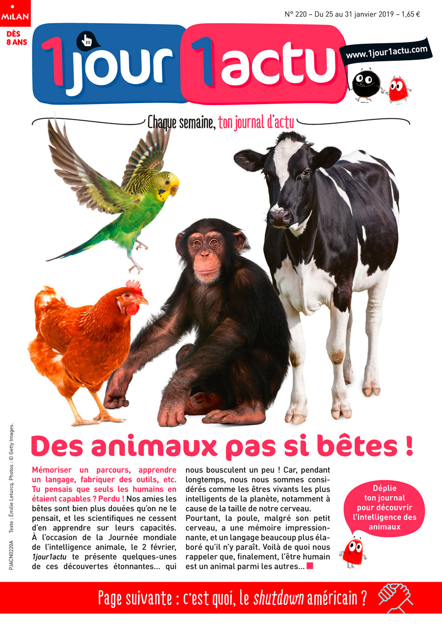 Couv 1jour1actu 220 Intelligence animale