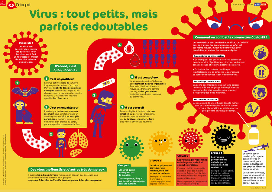 Poster 1jour1actu 267 Virus