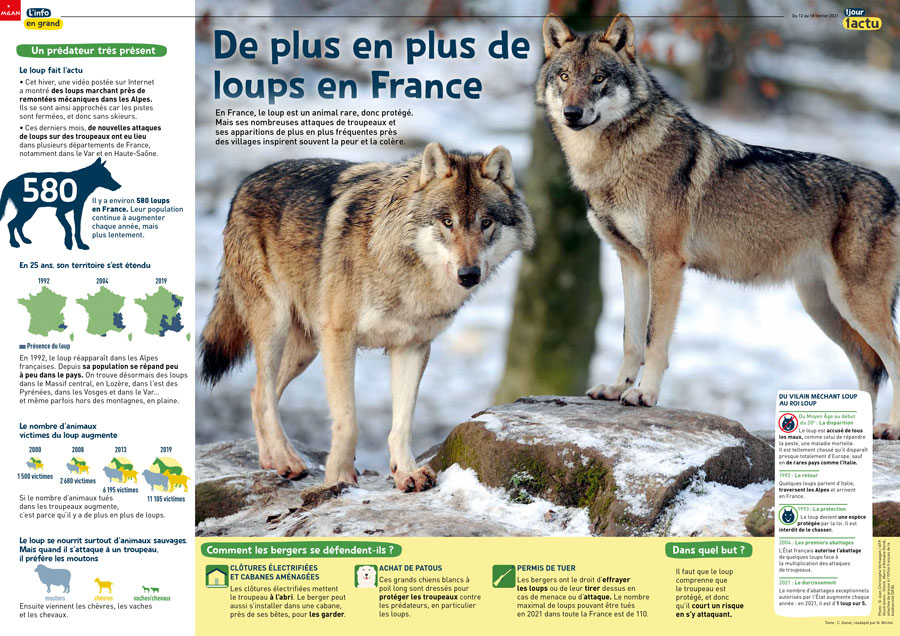 Poster 1jour1actu 302 Loups